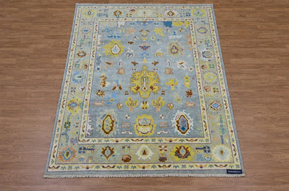 Modern Oushak Rug, Hand Knotted Wool Area Rug, Light Blue and Beige Turkish Style Geometric Floral Rug, 9x12 Area Rug for Living Room